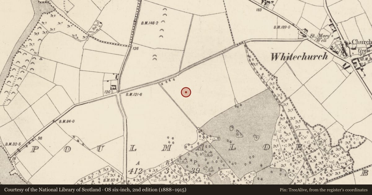Ordnance Survey six-inch map, 2nd edition (1888–1915) covering the location of Standing stone, Poulmaloe, County Wexford, with a pin at the register's coordinates