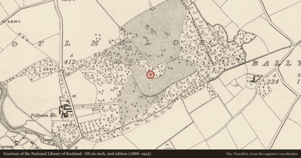 Ordnance Survey six-inch map, 2nd edition (1888–1915) covering the location of Ringfort - unclassified, Poulmaloe, County Wexford, with a pin at the register's coordinates