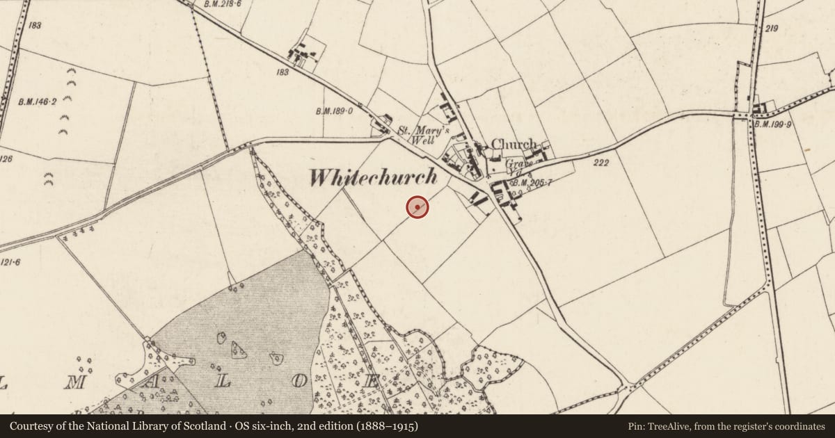 Ordnance Survey six-inch map, 2nd edition (1888–1915) covering the location of Standing stone, Whitechurch, County Wexford, with a pin at the register's coordinates