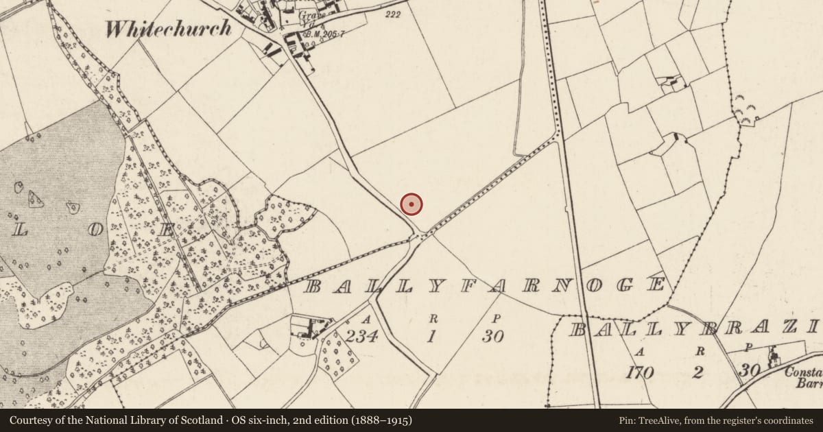 Ordnance Survey six-inch map, 2nd edition (1888–1915) covering the location of Stone row, Whitechurch, County Wexford, with a pin at the register's coordinates