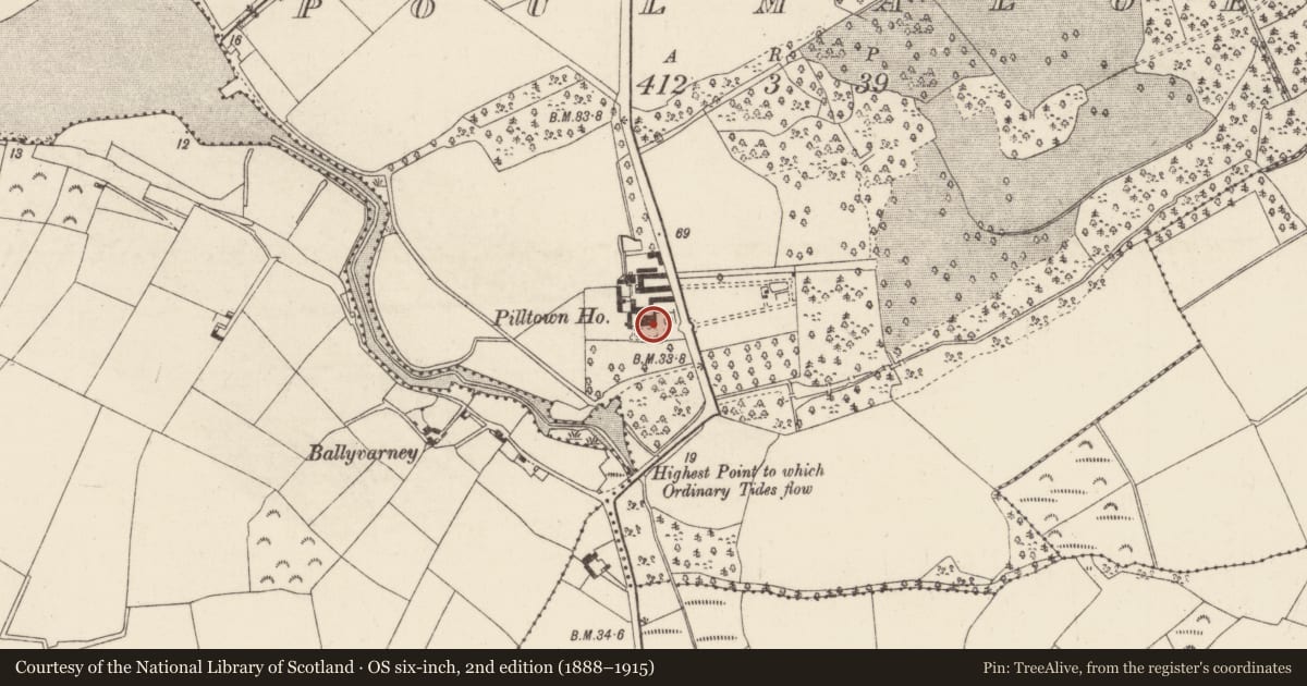 Ordnance Survey six-inch map, 2nd edition (1888–1915) covering the location of House - 18th/19th century, Poulmaloe, County Wexford, with a pin at the register's coordinates