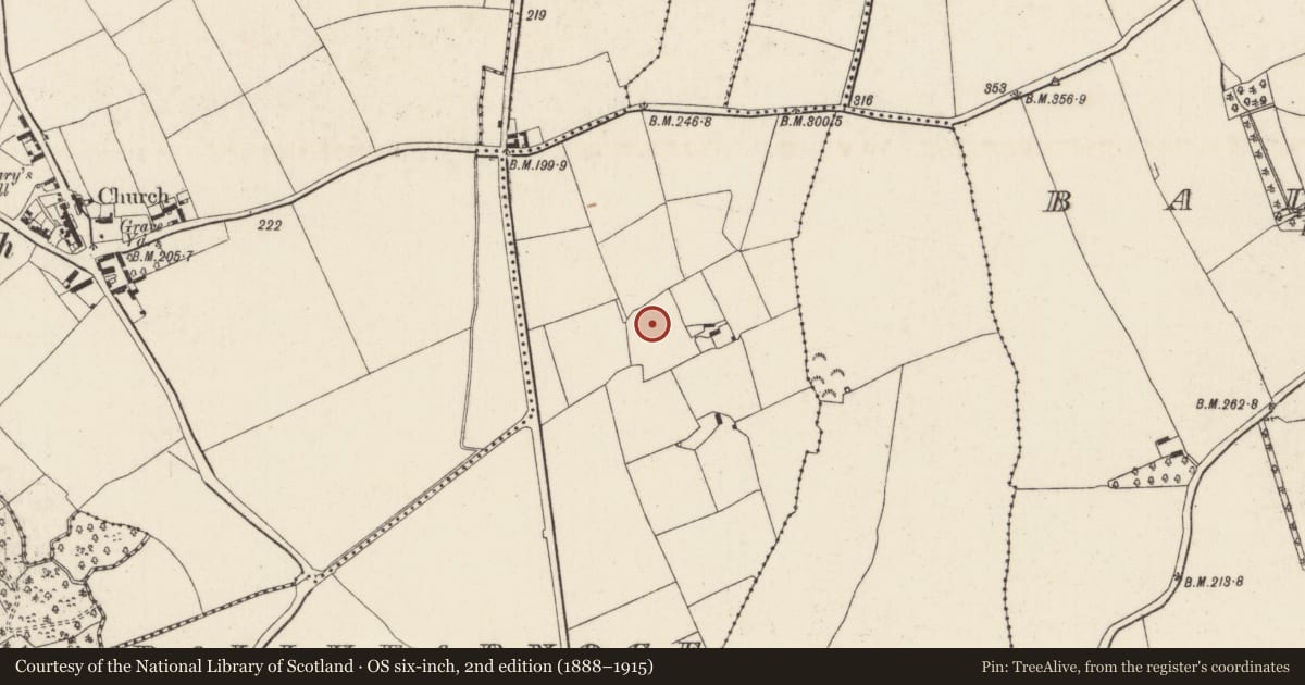 Ordnance Survey six-inch map, 2nd edition (1888–1915) covering the location of Ringfort - rath, Ballyfarnoge, County Wexford, with a pin at the register's coordinates