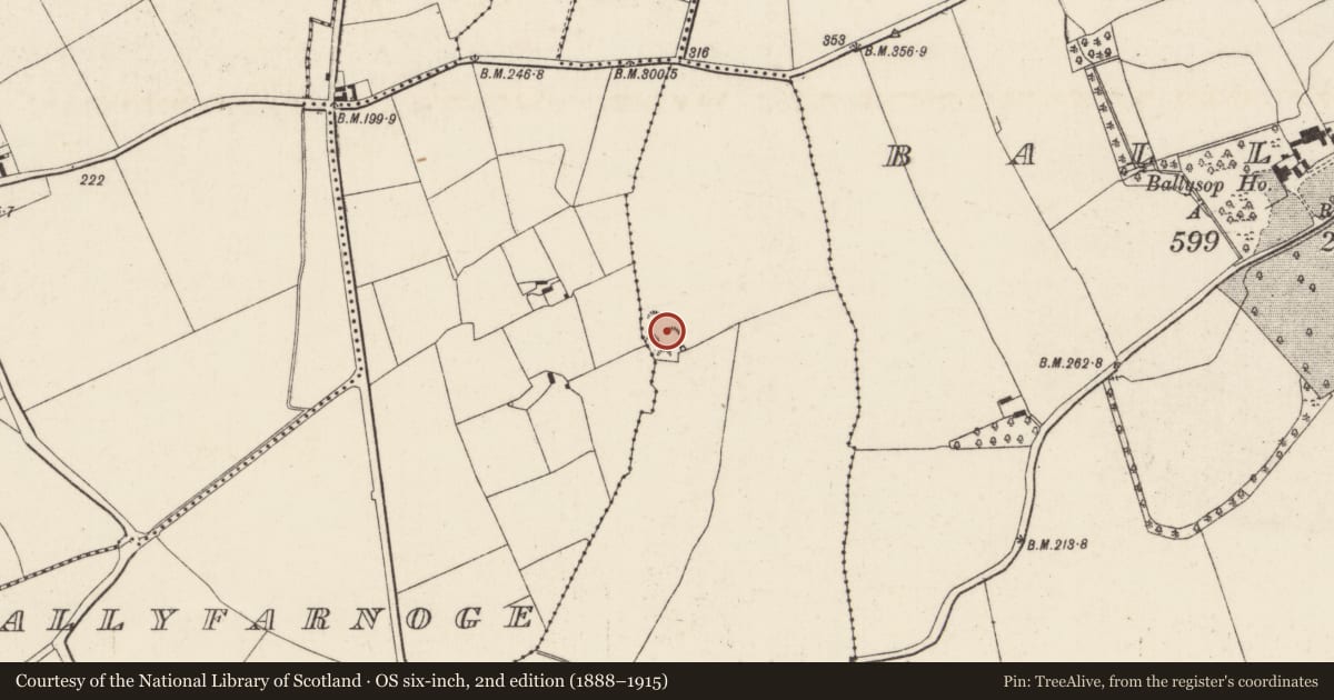 Ordnance Survey six-inch map, 2nd edition (1888–1915) covering the location of Ringfort - rath, Ballybrazil, County Wexford, with a pin at the register's coordinates