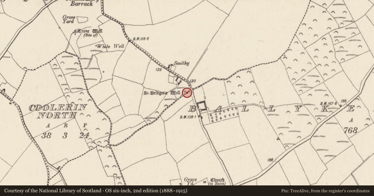 Ordnance Survey six-inch map, 2nd edition (1888–1915) covering the location of Ritual site - holy well, Ballybrazil, County Wexford, with a pin at the register's coordinates