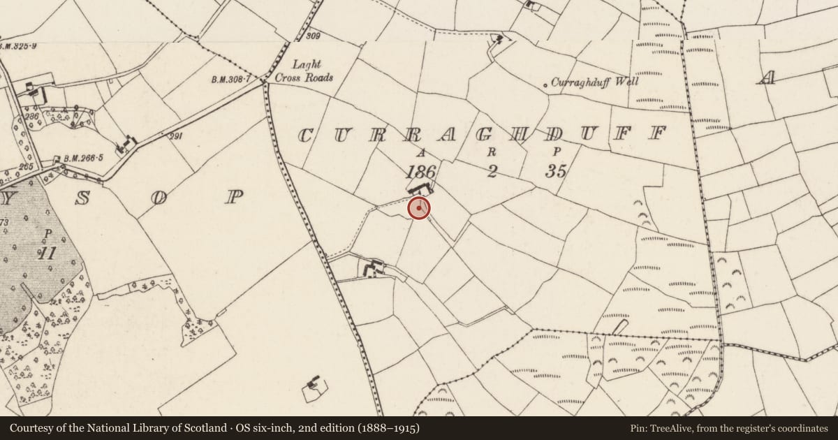 Ordnance Survey six-inch map, 2nd edition (1888–1915) covering the location of Enclosure, Curraghduff, County Wexford, with a pin at the register's coordinates