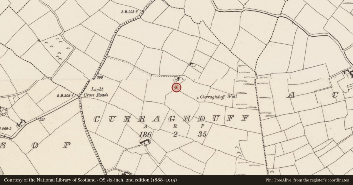 Ordnance Survey six-inch map, 2nd edition (1888–1915) covering the location of Enclosure, Curraghduff, County Wexford, with a pin at the register's coordinates