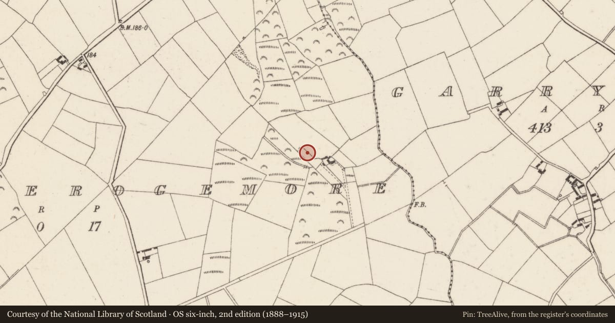 Ordnance Survey six-inch map, 2nd edition (1888–1915) covering the location of Mound, Ballykeerogemore, County Wexford, with a pin at the register's coordinates