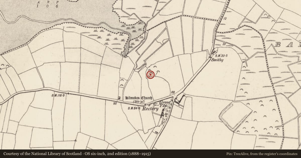 Ordnance Survey six-inch map, 2nd edition (1888–1915) covering the location of Enclosure, Great Island, County Wexford, with a pin at the register's coordinates