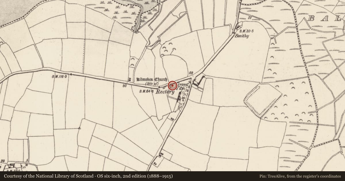Ordnance Survey six-inch map, 2nd edition (1888–1915) covering the location of Church, Great Island, County Wexford, with a pin at the register's coordinates