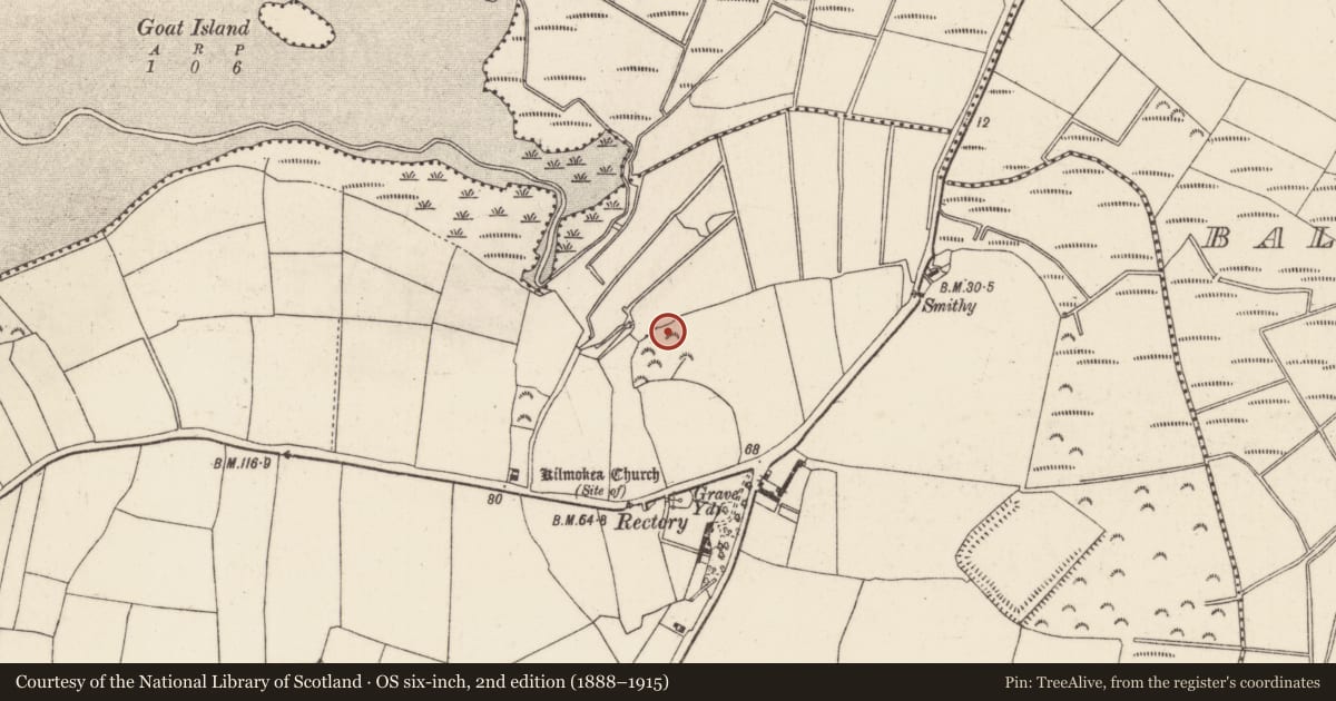 Ordnance Survey six-inch map, 2nd edition (1888–1915) covering the location of Bullaun stone, Great Island, County Wexford, with a pin at the register's coordinates