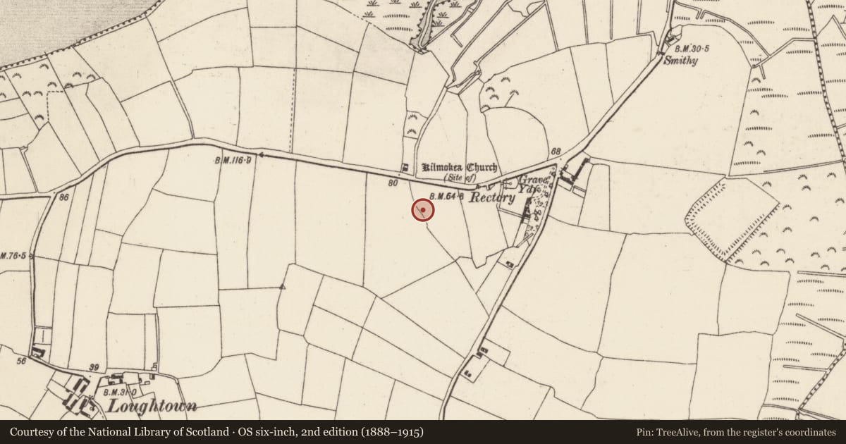 Ordnance Survey six-inch map, 2nd edition (1888–1915) covering the location of Bullaun stone, Great Island, County Wexford, with a pin at the register's coordinates