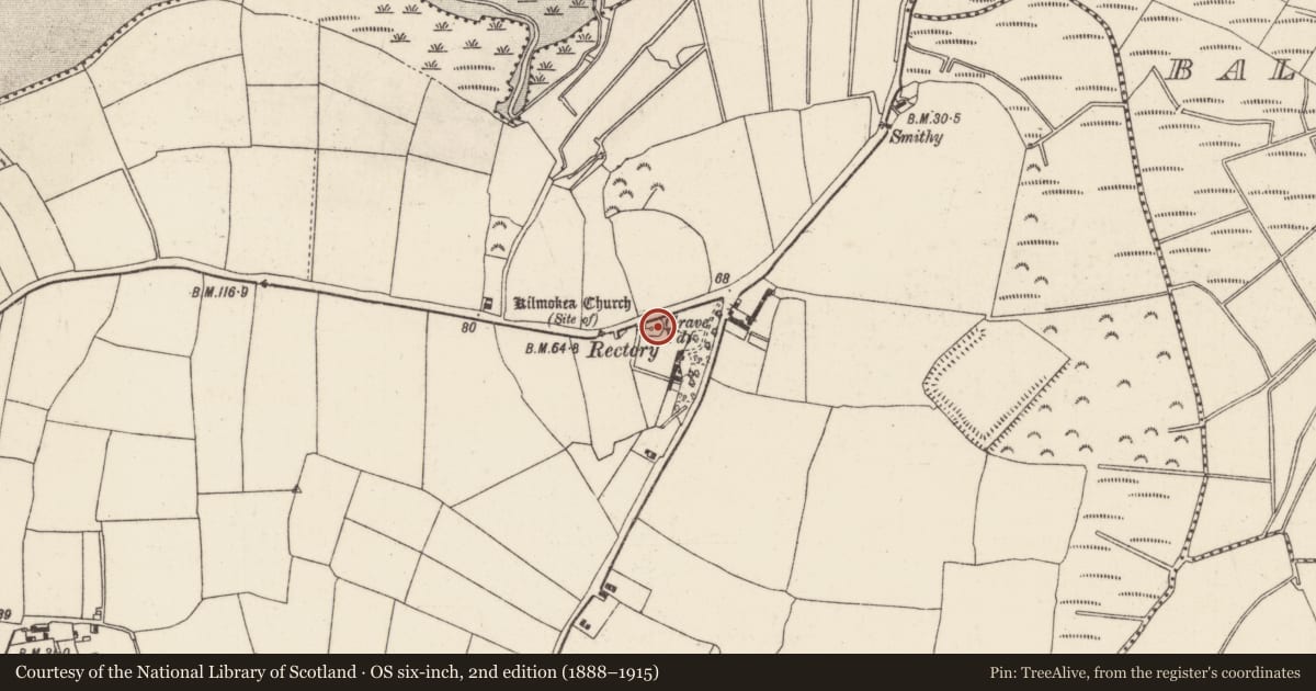 Ordnance Survey six-inch map, 2nd edition (1888–1915) covering the location of Graveyard, Great Island, County Wexford, with a pin at the register's coordinates