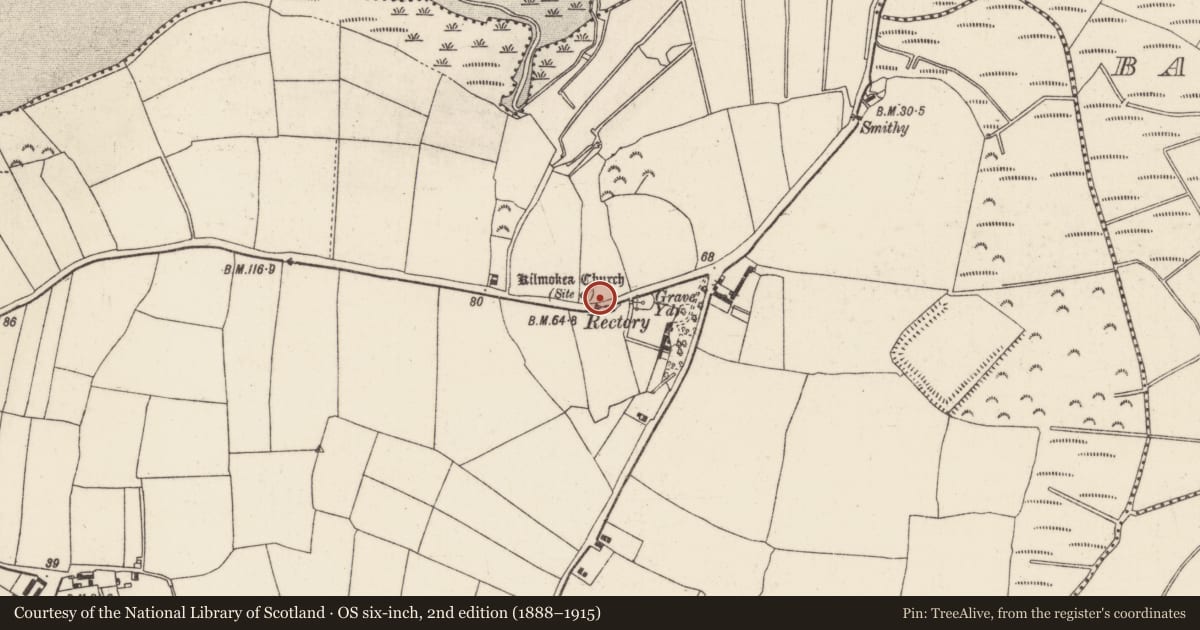 Ordnance Survey six-inch map, 2nd edition (1888–1915) covering the location of Water mill - horizontal-wheeled, Great Island, County Wexford, with a pin at the register's coordinates
