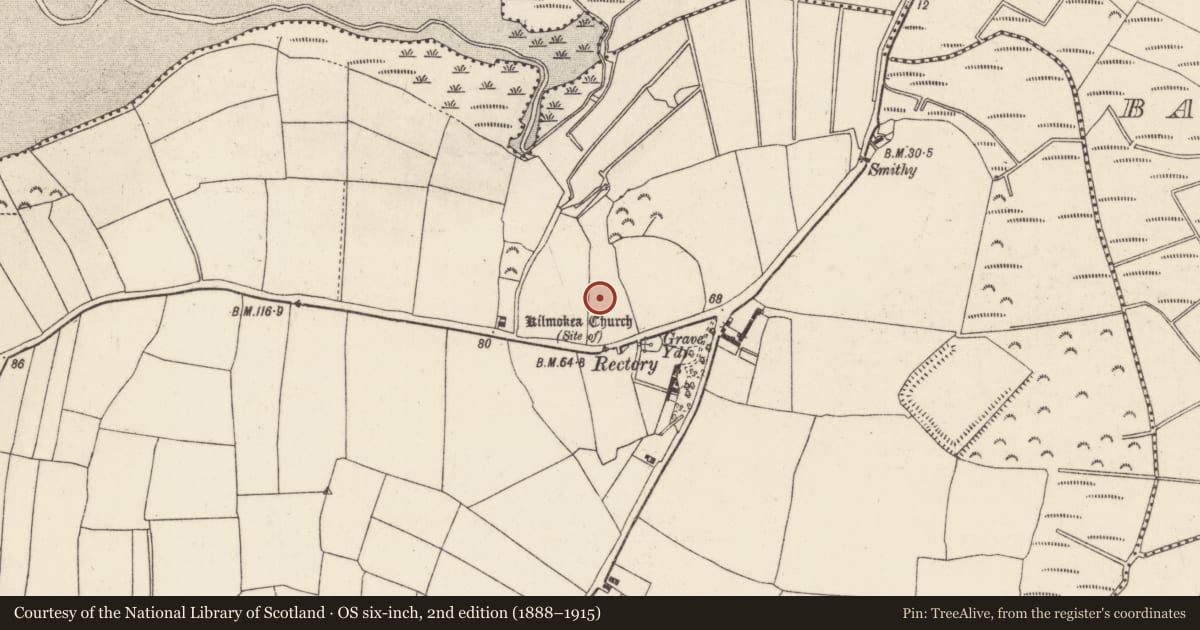 Ordnance Survey six-inch map, 2nd edition (1888–1915) covering the location of Enclosure, Great Island, County Wexford, with a pin at the register's coordinates