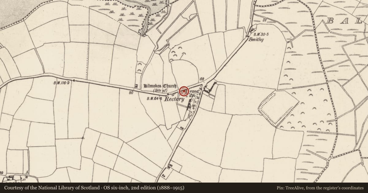 Ordnance Survey six-inch map, 2nd edition (1888–1915) covering the location of Graveslab, Great Island, County Wexford, with a pin at the register's coordinates