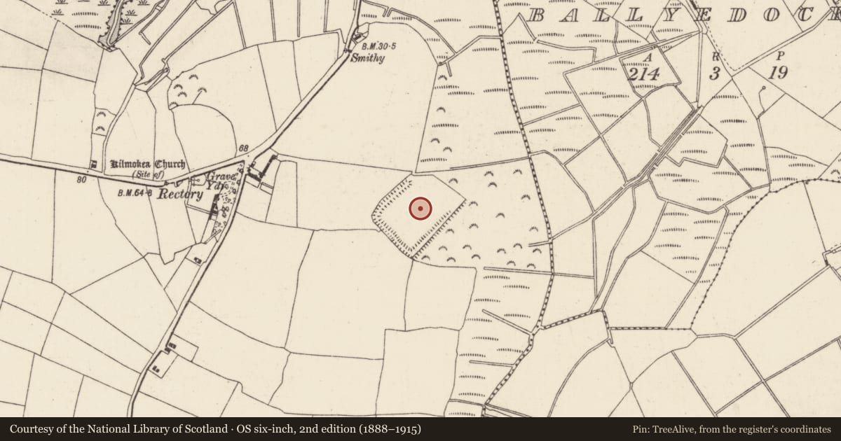 Ordnance Survey six-inch map, 2nd edition (1888–1915) covering the location of Moated site, Great Island, County Wexford, with a pin at the register's coordinates