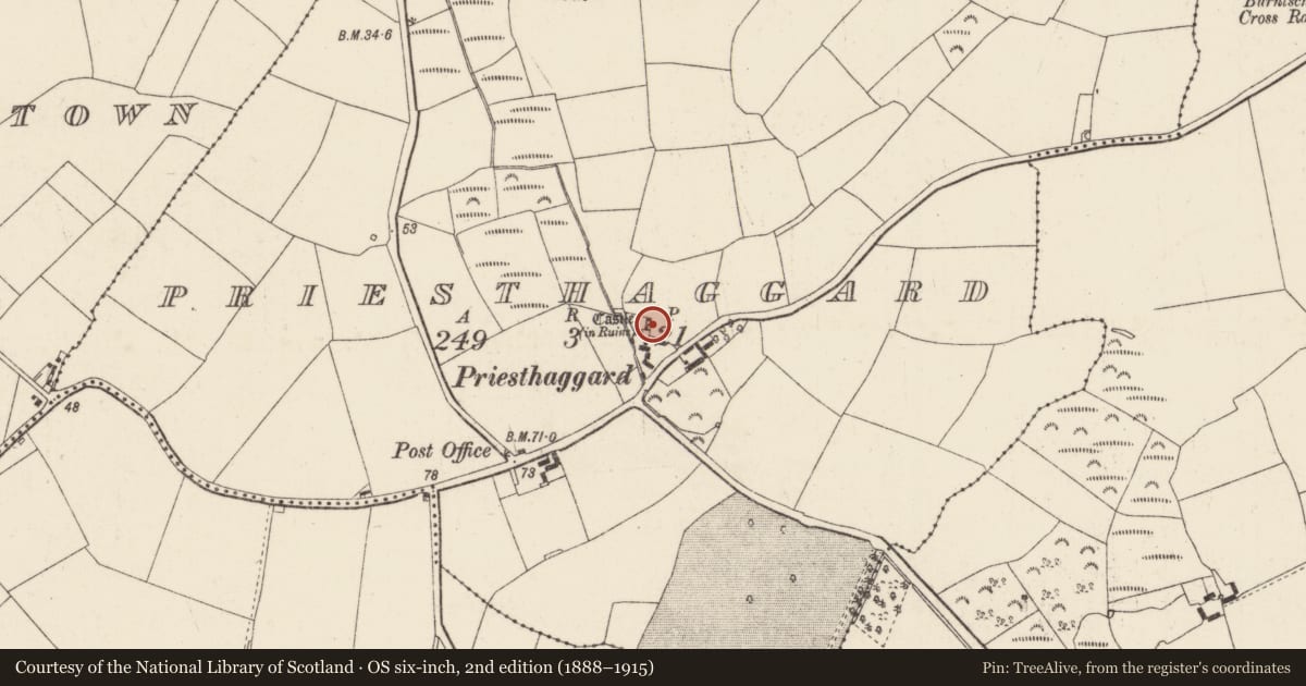 Ordnance Survey six-inch map, 2nd edition (1888–1915) covering the location of Castle - tower house, Priesthaggard, County Wexford, with a pin at the register's coordinates