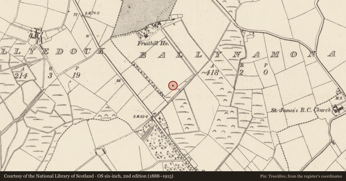 Ordnance Survey six-inch map, 2nd edition (1888–1915) covering the location of Fulacht fia, Ballynamona, County Wexford, with a pin at the register's coordinates
