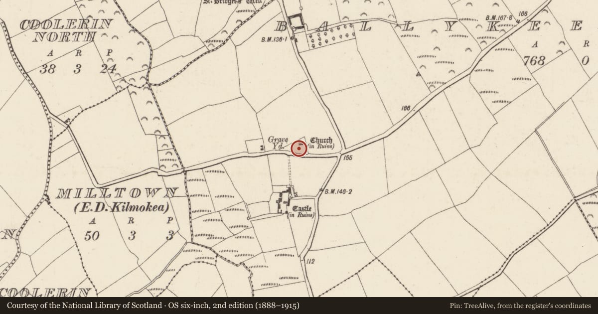 Ordnance Survey six-inch map, 2nd edition (1888–1915) covering the location of Graveyard, Ballykeerogemore, County Wexford, with a pin at the register's coordinates