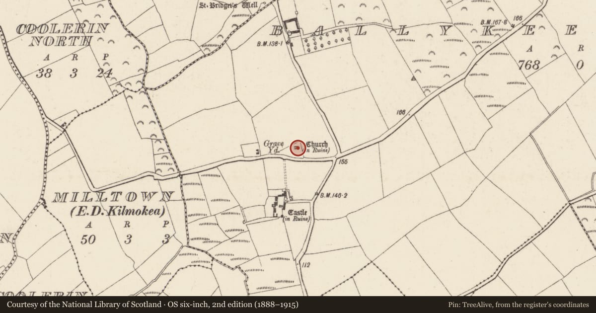 Ordnance Survey six-inch map, 2nd edition (1888–1915) covering the location of Bullaun stone, Ballykeerogemore, County Wexford, with a pin at the register's coordinates