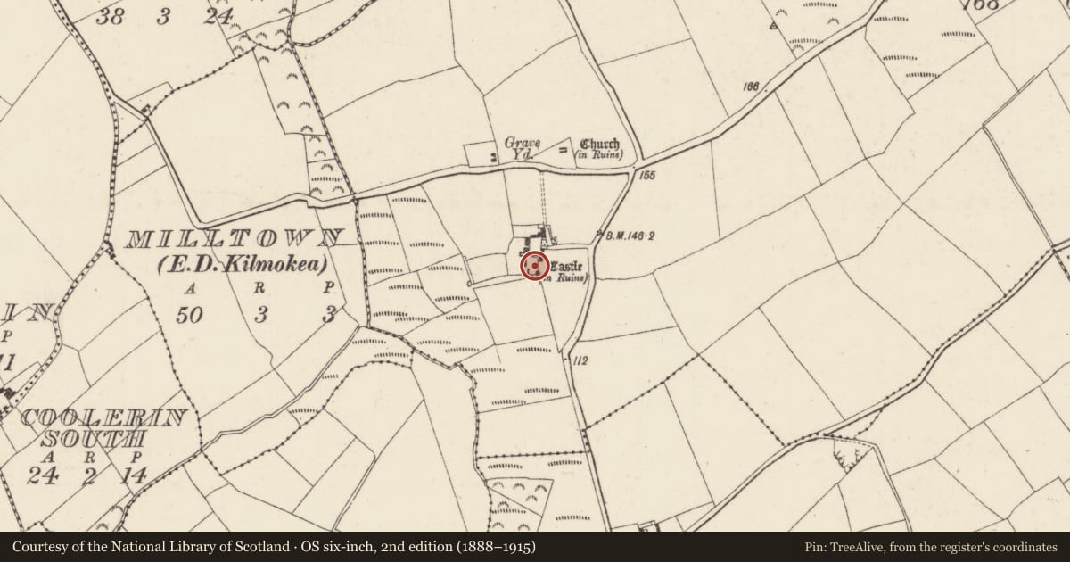 Ordnance Survey six-inch map, 2nd edition (1888–1915) covering the location of Bawn, Ballykeerogemore, County Wexford, with a pin at the register's coordinates