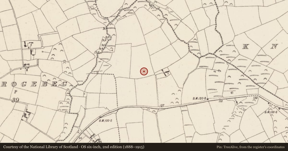 Ordnance Survey six-inch map, 2nd edition (1888–1915) covering the location of Standing stone, Killesk, County Wexford, with a pin at the register's coordinates