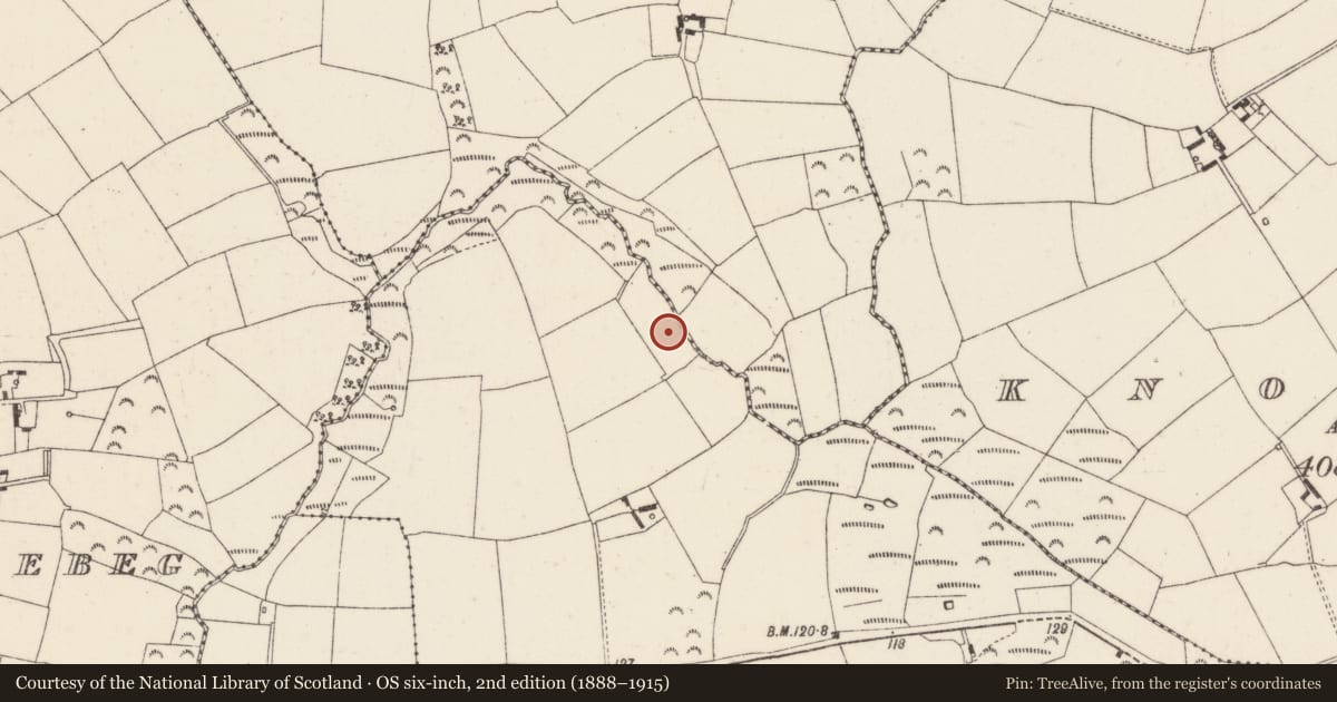 Ordnance Survey six-inch map, 2nd edition (1888–1915) covering the location of Mass-rock, Killesk, County Wexford, with a pin at the register's coordinates