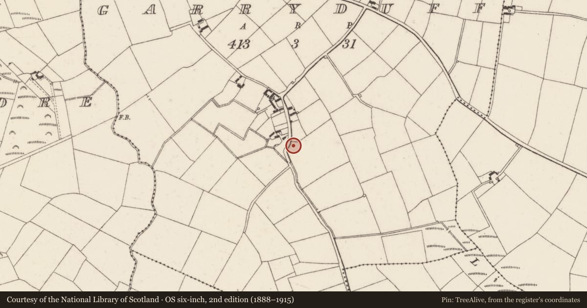 Ordnance Survey six-inch map, 2nd edition (1888–1915) covering the location of Bullaun stone, Garryduff, County Wexford, with a pin at the register's coordinates