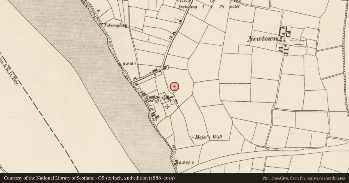 Ordnance Survey six-inch map, 2nd edition (1888–1915) covering the location of Castle - ringwork, Great Island, County Wexford, with a pin at the register's coordinates
