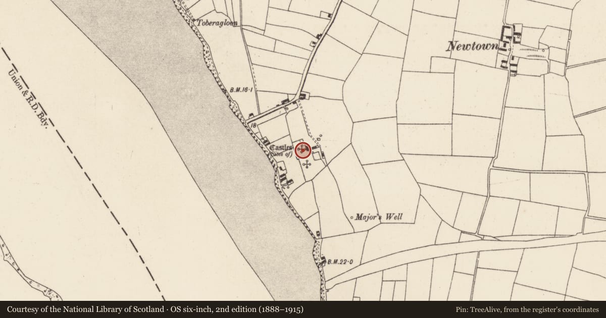 Ordnance Survey six-inch map, 2nd edition (1888–1915) covering the location of Castle - Anglo-Norman masonry castle, Great Island, County Wexford, with a pin at the register's coordinates