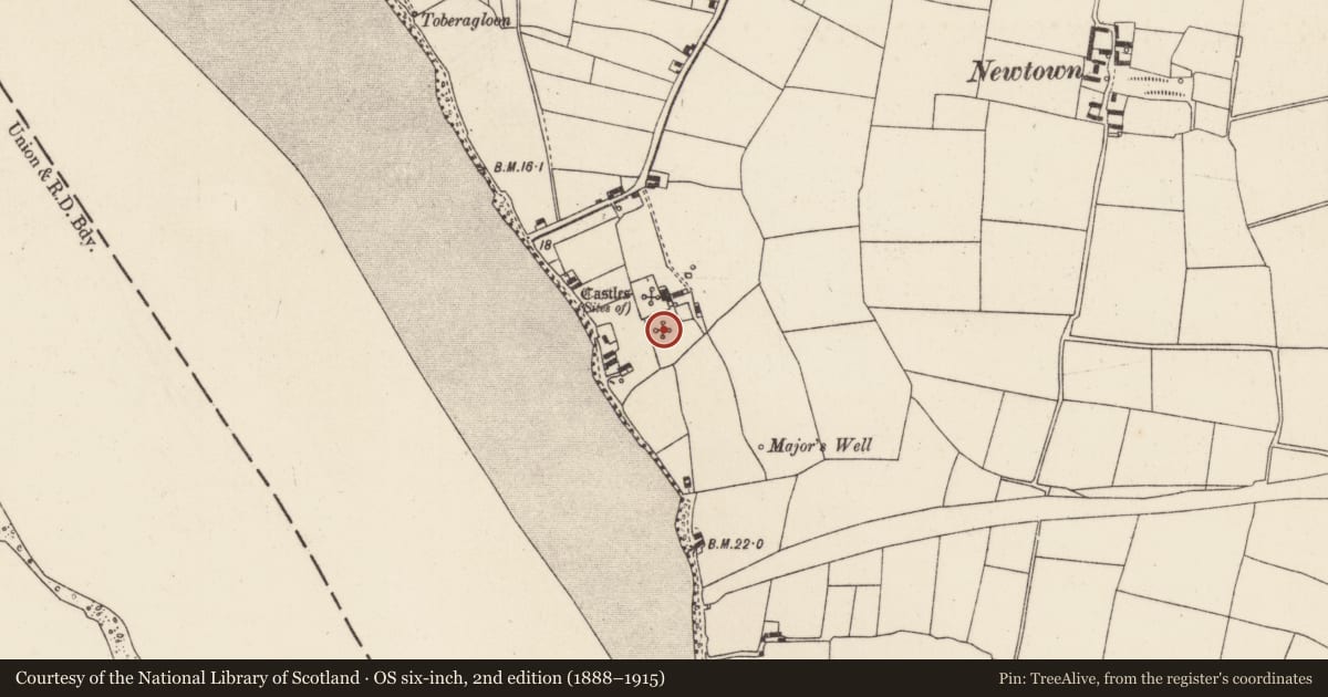 Ordnance Survey six-inch map, 2nd edition (1888–1915) covering the location of Castle - unclassified, Great Island, County Wexford, with a pin at the register's coordinates