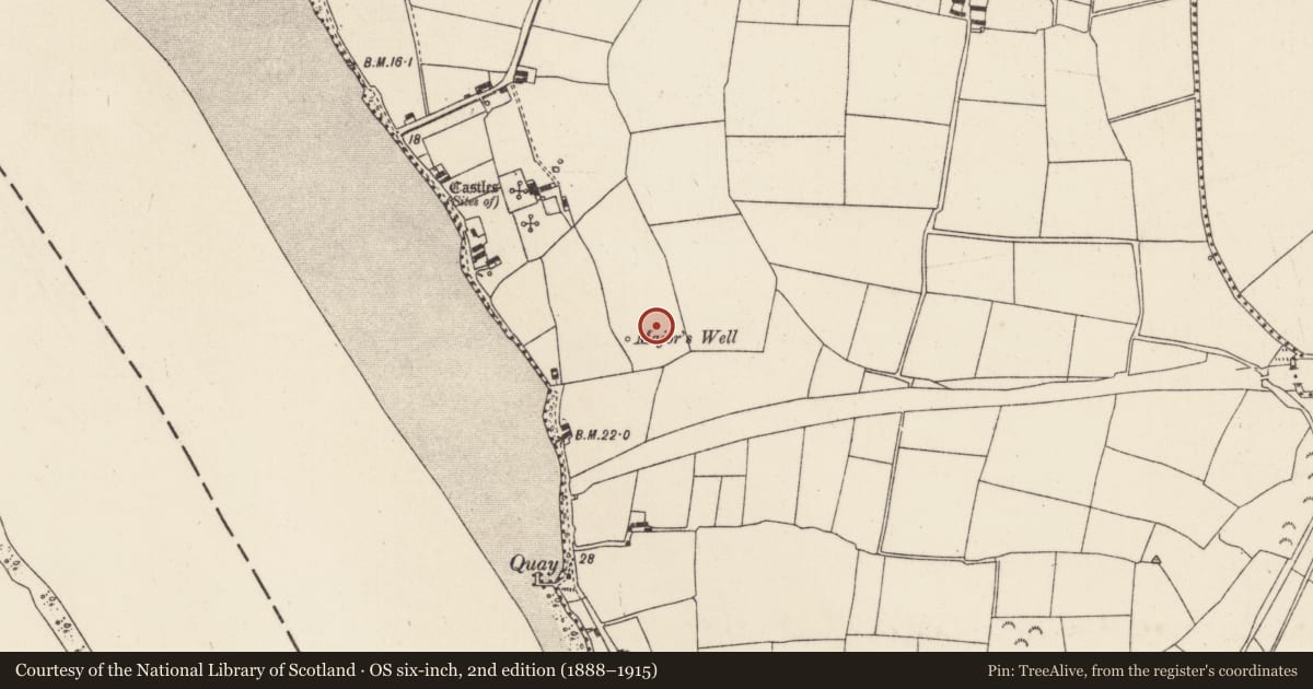 Ordnance Survey six-inch map, 2nd edition (1888–1915) covering the location of Enclosure - large enclosure, Great Island, County Wexford, with a pin at the register's coordinates