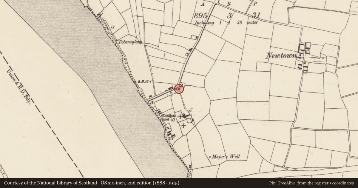 Ordnance Survey six-inch map, 2nd edition (1888–1915) covering the location of Leper hospital, Great Island, County Wexford, with a pin at the register's coordinates