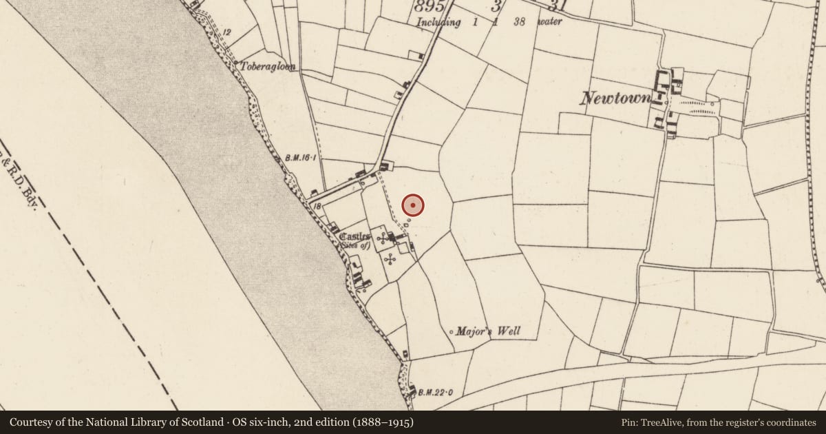Ordnance Survey six-inch map, 2nd edition (1888–1915) covering the location of Burial, Great Island, County Wexford, with a pin at the register's coordinates