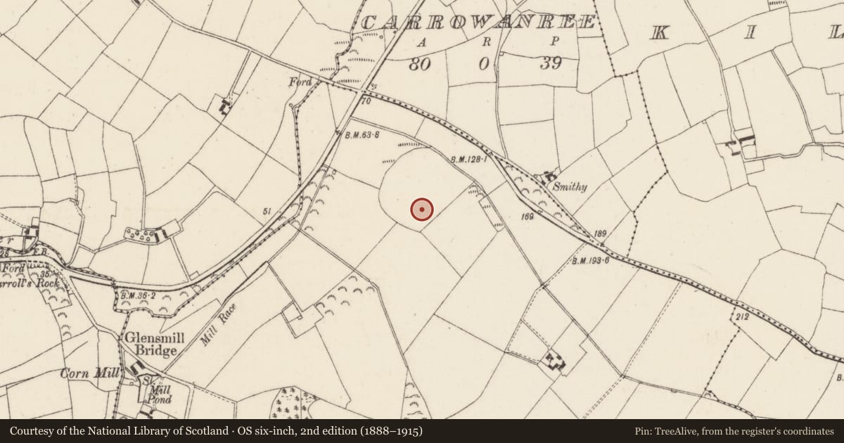 Ordnance Survey six-inch map, 2nd edition (1888–1915) covering the location of Ringfort - rath, Tinnock, County Wexford, with a pin at the register's coordinates