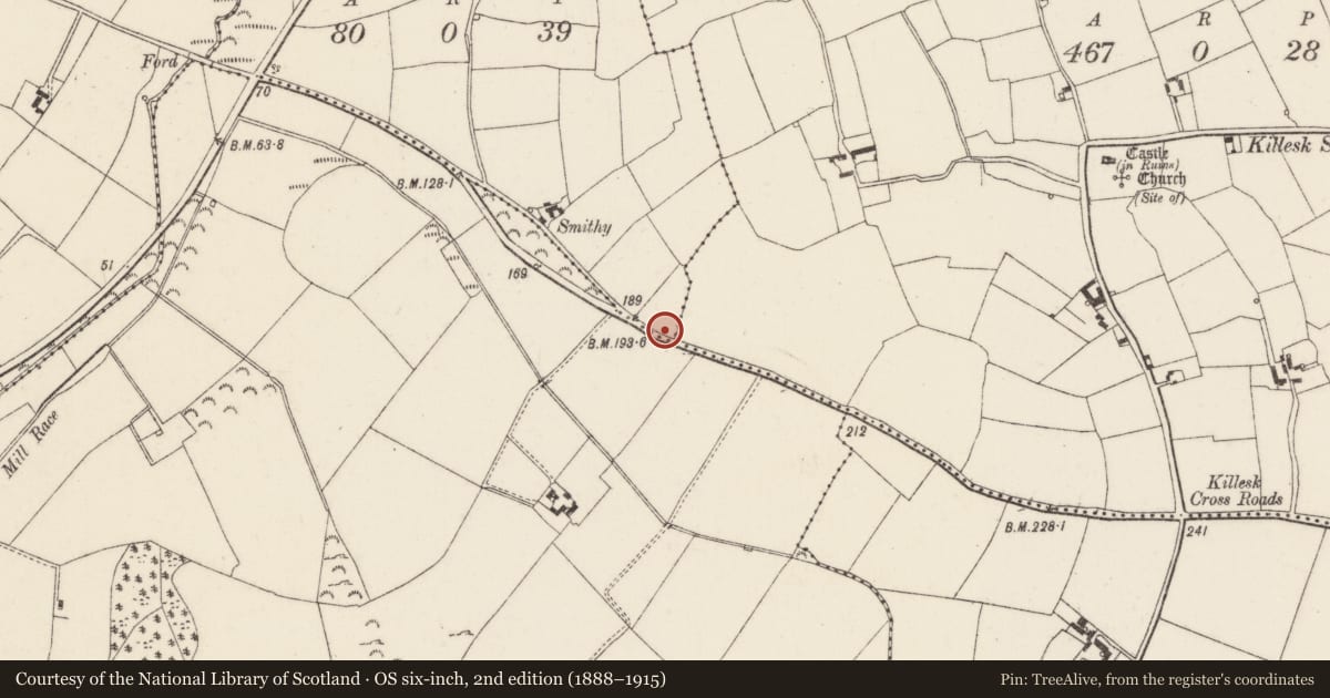 Ordnance Survey six-inch map, 2nd edition (1888–1915) covering the location of Ringfort - rath, Carrowanree, County Wexford, with a pin at the register's coordinates
