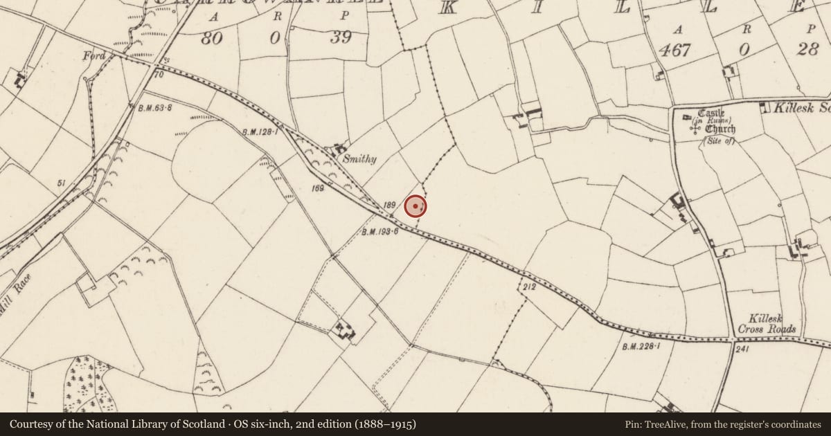 Ordnance Survey six-inch map, 2nd edition (1888–1915) covering the location of Ringfort - unclassified, Carrowanree, County Wexford, with a pin at the register's coordinates