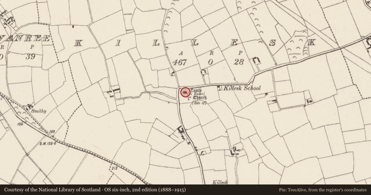Ordnance Survey six-inch map, 2nd edition (1888–1915) covering the location of Castle - unclassified, Killesk, County Wexford, with a pin at the register's coordinates