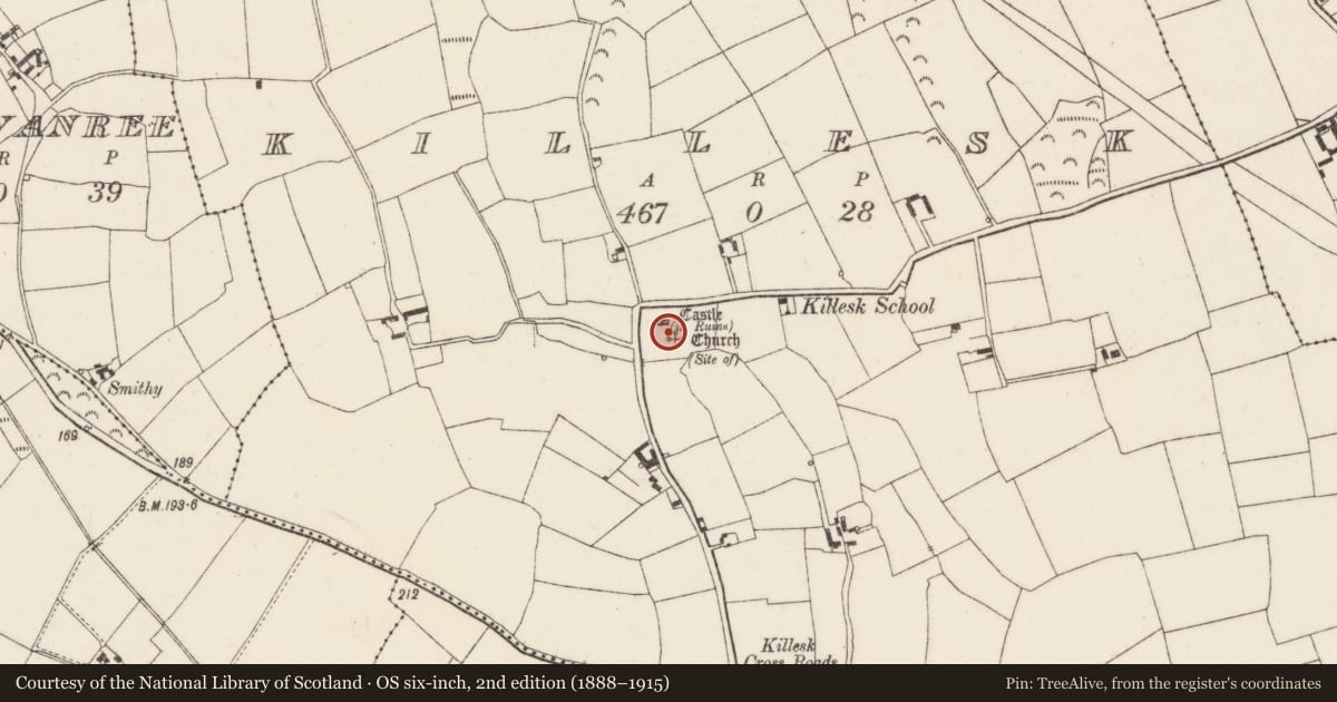 Ordnance Survey six-inch map, 2nd edition (1888–1915) covering the location of Enclosure, Killesk, County Wexford, with a pin at the register's coordinates