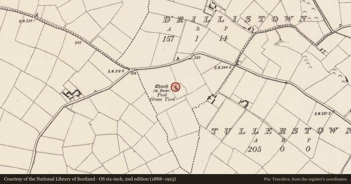 Ordnance Survey six-inch map, 2nd edition (1888–1915) covering the location of Church, Drillistown, County Wexford, with a pin at the register's coordinates