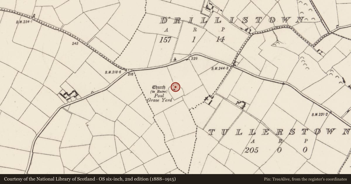 Ordnance Survey six-inch map, 2nd edition (1888–1915) covering the location of Graveyard, Drillistown, County Wexford, with a pin at the register's coordinates