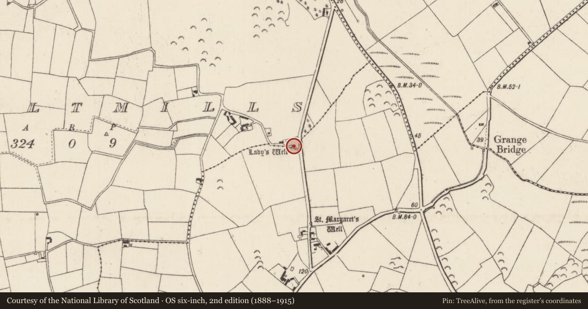 Ordnance Survey six-inch map, 2nd edition (1888–1915) covering the location of Ritual site - holy well, Grange, County Wexford, with a pin at the register's coordinates