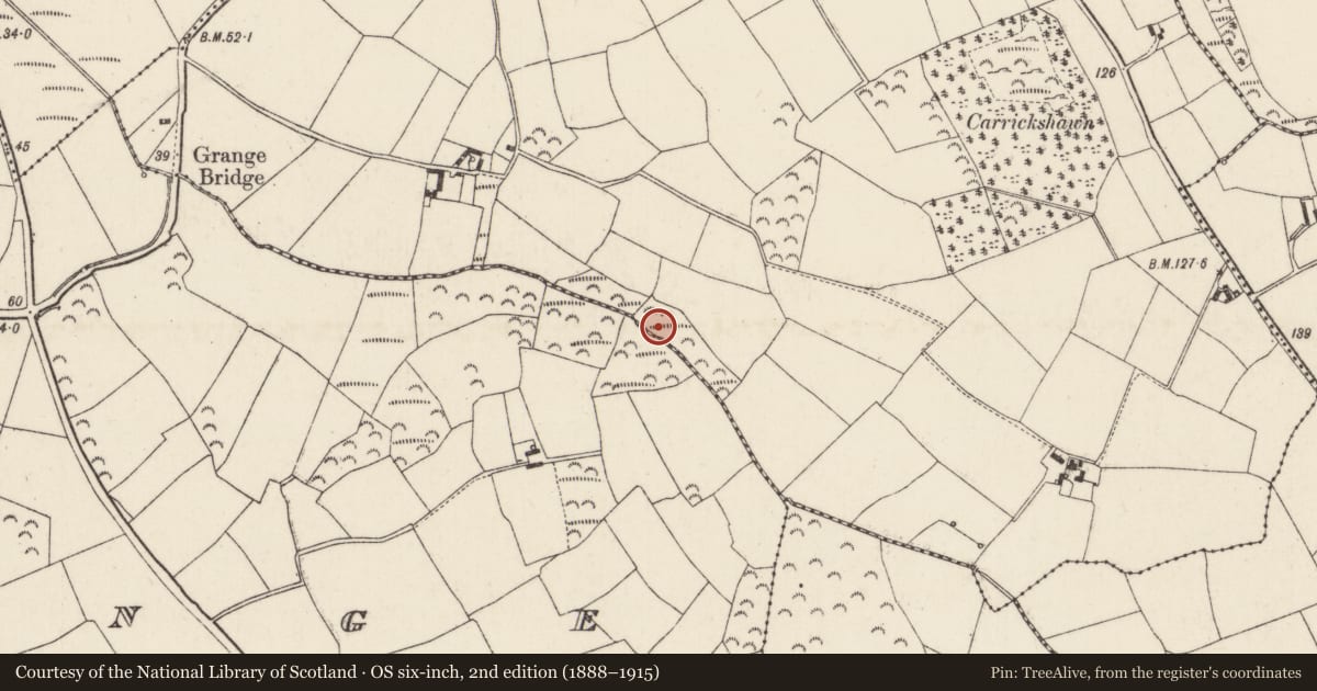Ordnance Survey six-inch map, 2nd edition (1888–1915) covering the location of Fulacht fia, Ballyvelig, County Wexford, with a pin at the register's coordinates