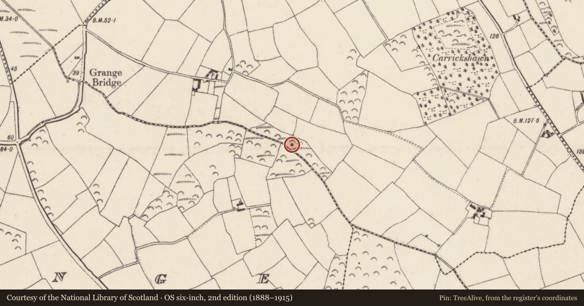 Ordnance Survey six-inch map, 2nd edition (1888–1915) covering the location of Fulacht fia, Ballyvelig, County Wexford, with a pin at the register's coordinates