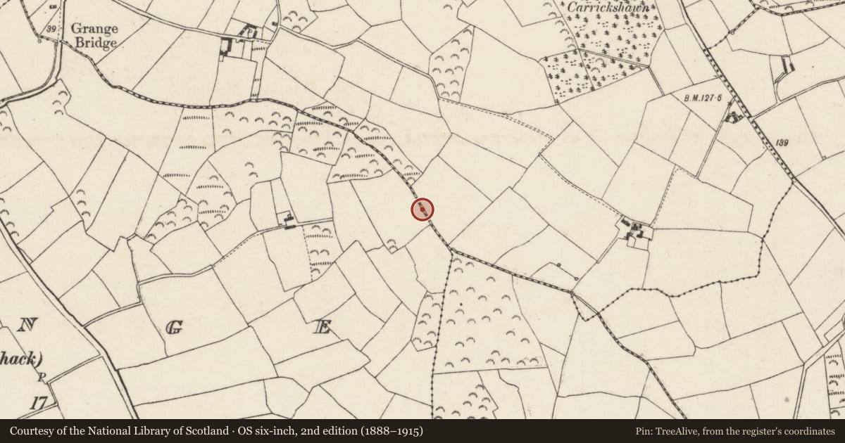 Ordnance Survey six-inch map, 2nd edition (1888–1915) covering the location of Fulacht fia, Grange, County Wexford, with a pin at the register's coordinates