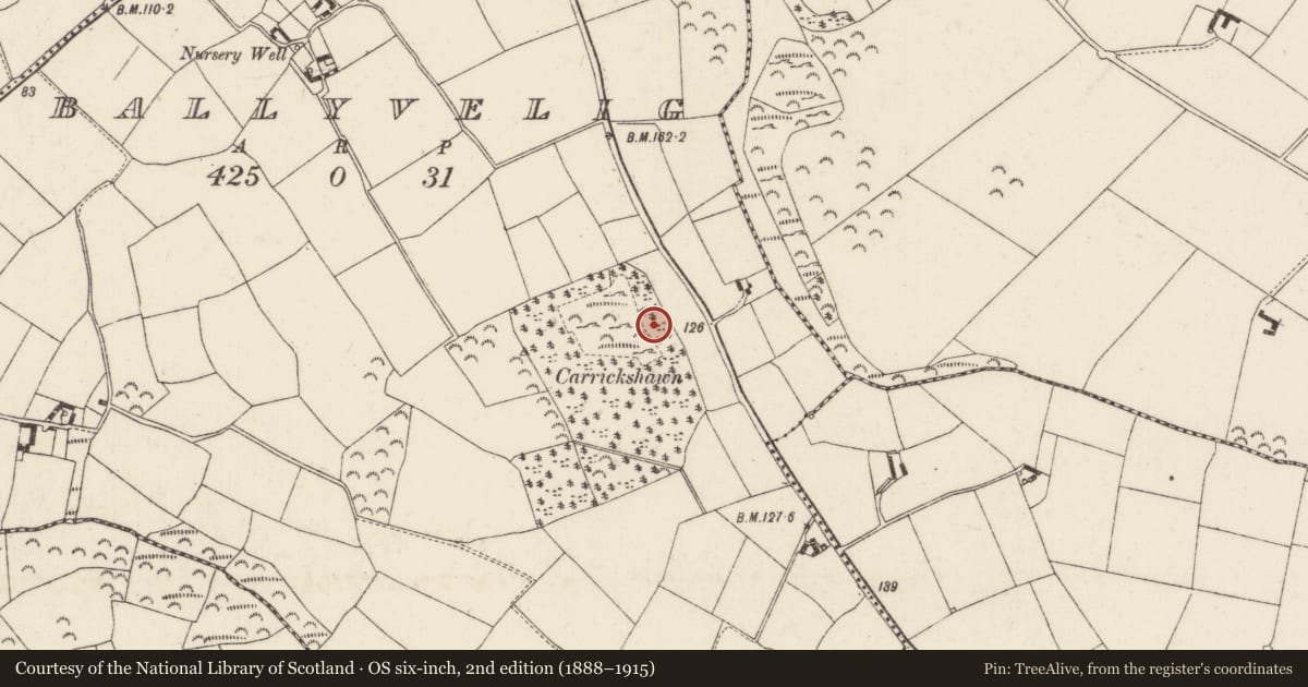 Ordnance Survey six-inch map, 2nd edition (1888–1915) covering the location of Urn burial, Ballyvelig, County Wexford, with a pin at the register's coordinates