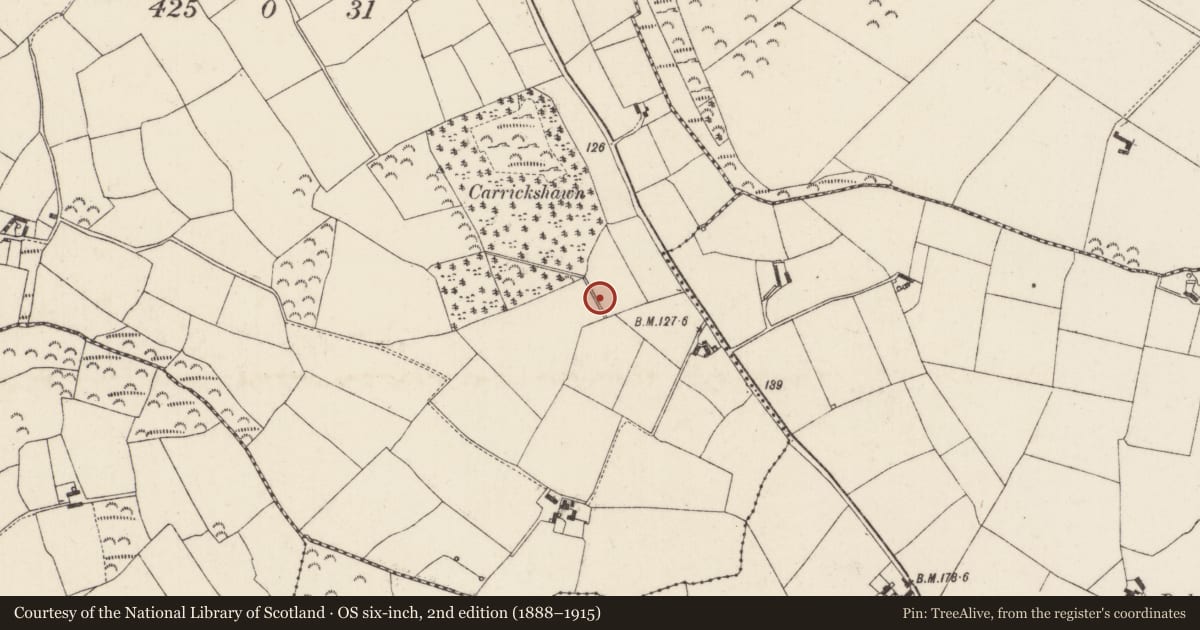 Ordnance Survey six-inch map, 2nd edition (1888–1915) covering the location of Urn burial, Ballyvelig, County Wexford, with a pin at the register's coordinates