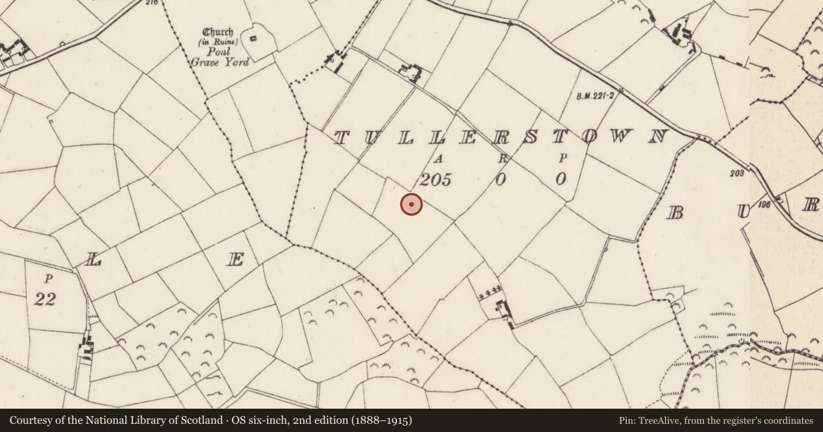 Ordnance Survey six-inch map, 2nd edition (1888–1915) covering the location of Moated site, Tullerstown, County Wexford, with a pin at the register's coordinates
