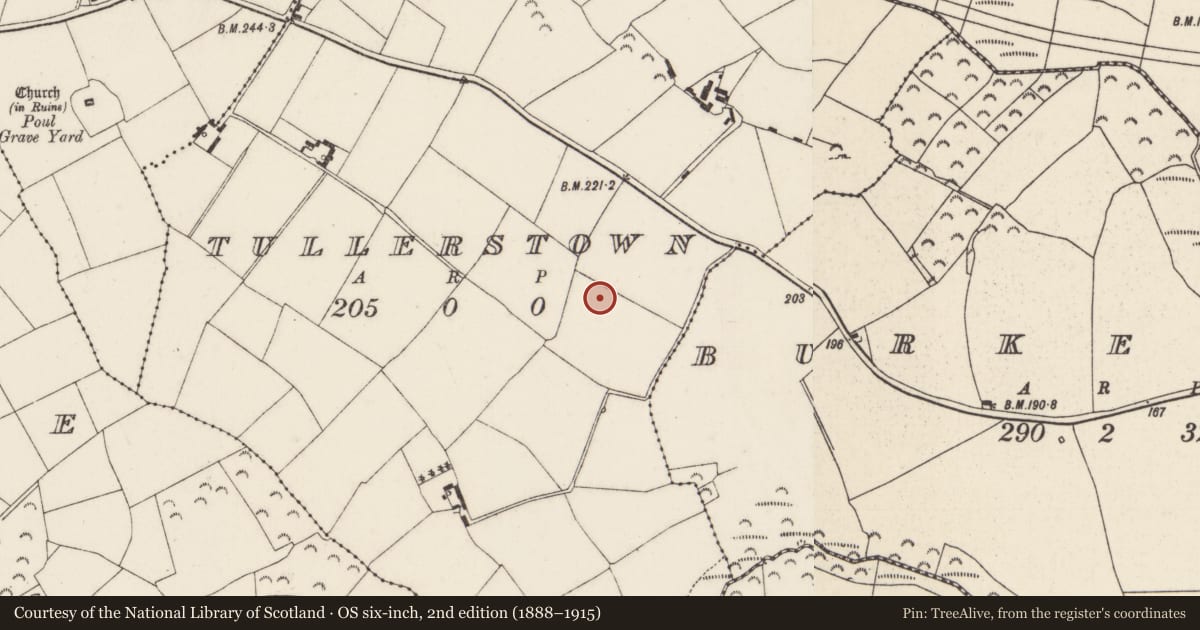 Ordnance Survey six-inch map, 2nd edition (1888–1915) covering the location of Ringfort - rath, Tullerstown, County Wexford, with a pin at the register's coordinates