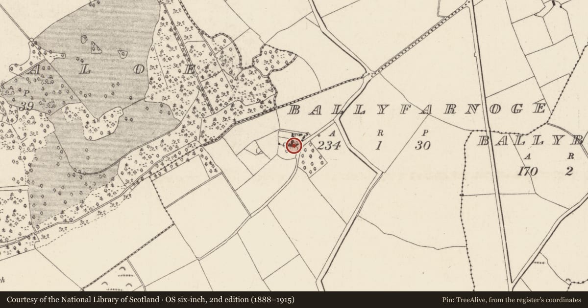 Ordnance Survey six-inch map, 2nd edition (1888–1915) covering the location of Castle - tower house, Ballyfarnoge, County Wexford, with a pin at the register's coordinates